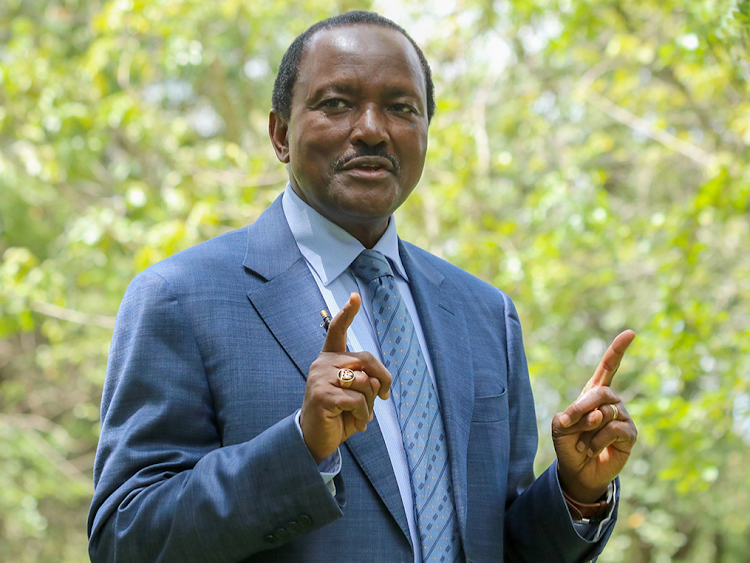 New Electricity Prices Will Hurt Kenyans, Kalonzo Says